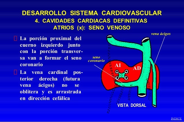 El oscurecimiento del pie a la tromboflebitis