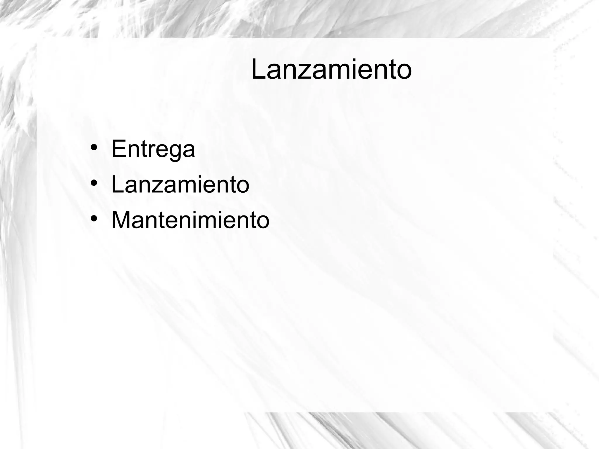 Lanzamiento


    Entrega

    Lanzamiento

    Mantenimiento
 