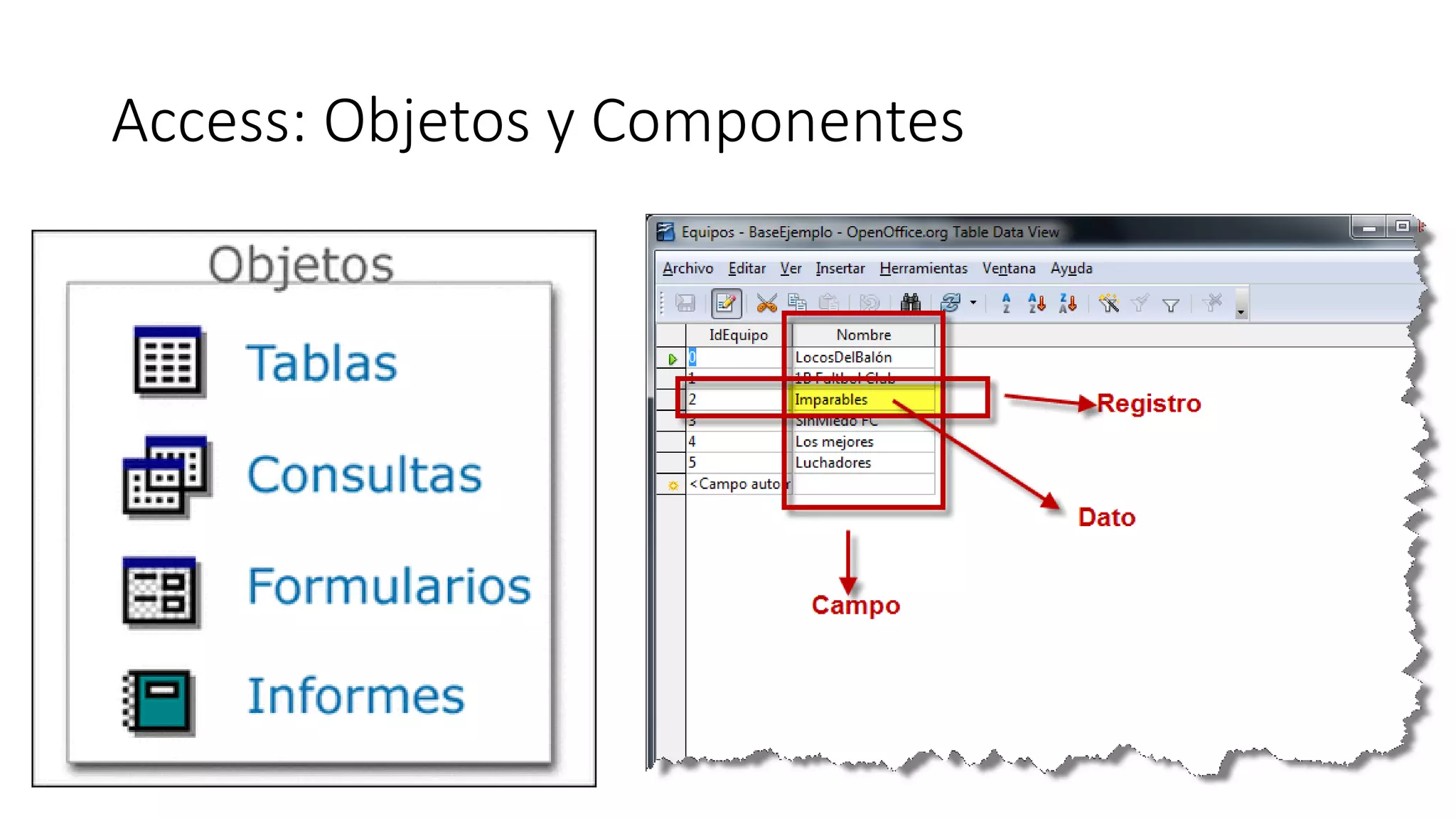Access: Objetos y Componentes
 