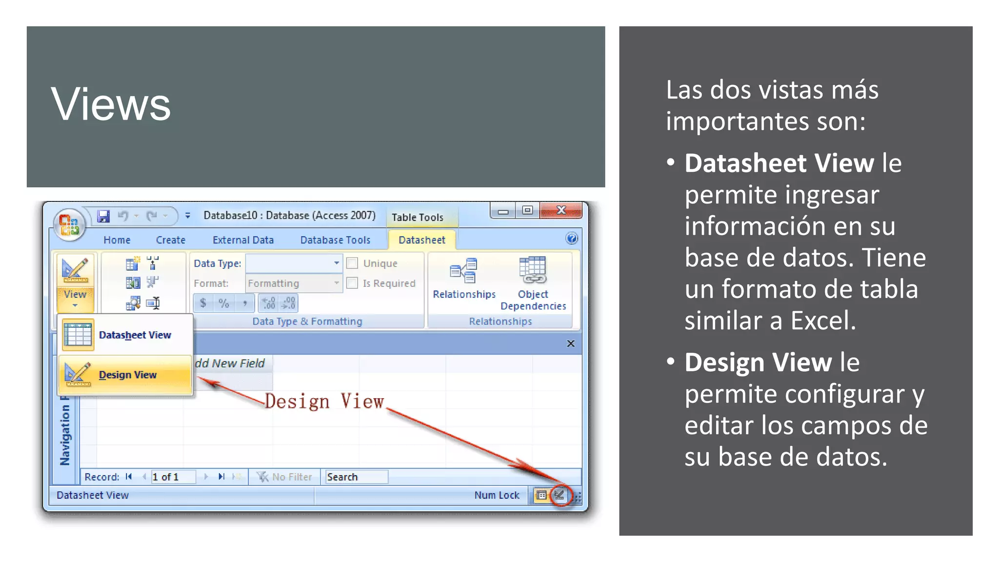 Views Las dos vistas más
importantes son:
• Datasheet View le
permite ingresar
información en su
base de datos. Tiene
un formato de tabla
similar a Excel.
• Design View le
permite configurar y
editar los campos de
su base de datos.
 