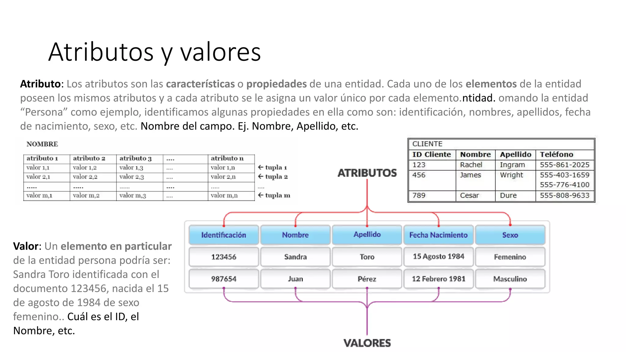 Atributos y valores
Atributo: Los atributos son las características o propiedades de una entidad. Cada uno de los elementos de la entidad
poseen los mismos atributos y a cada atributo se le asigna un valor único por cada elemento.ntidad. omando la entidad
“Persona” como ejemplo, identificamos algunas propiedades en ella como son: identificación, nombres, apellidos, fecha
de nacimiento, sexo, etc. Nombre del campo. Ej. Nombre, Apellido, etc.
Valor: Un elemento en particular
de la entidad persona podría ser:
Sandra Toro identificada con el
documento 123456, nacida el 15
de agosto de 1984 de sexo
femenino.. Cuál es el ID, el
Nombre, etc.
 
