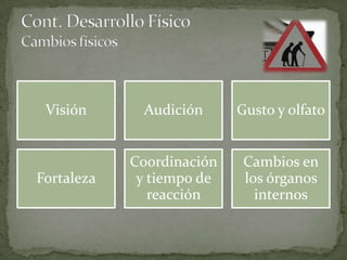 Visión      Audición      Gusto y olfato


            Coordinación    Cambios en
Fortaleza    y tiempo de    los órganos
               reacción       internos
 