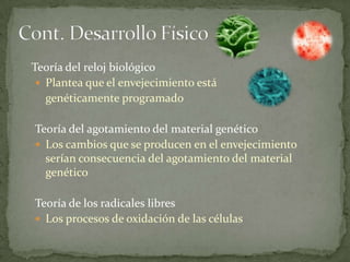 Teoría del reloj biológico
  Plantea que el envejecimiento está
   genéticamente programado

Teoría del agotamiento del material genético
 Los cambios que se producen en el envejecimiento
  serían consecuencia del agotamiento del material
  genético

Teoría de los radicales libres
 Los procesos de oxidación de las células
 
