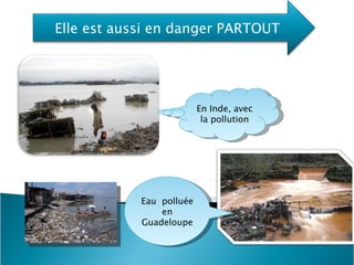En Inde, avec la pollution Eau polluée en Guadeloupe Elle est aussi en danger PARTOUT