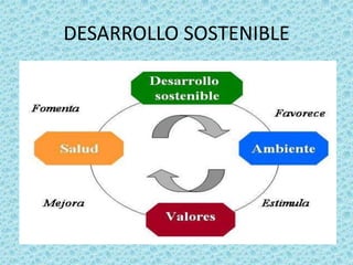 DESARROLLO SOSTENIBLE 