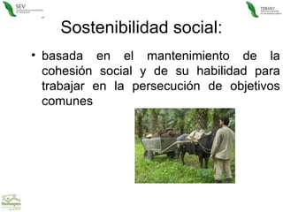 Sostenibilidad social: basada en el mantenimiento de la cohesión social y de su habilidad para trabajar en la persecución de objetivos comunes  