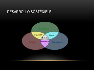 DESARROLLO SOSTENIBLE
 