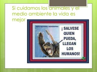 Si cuidamos los animales y el
medio ambiente la vida es
mejor
 