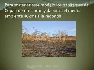 Para sostener este modelo los habitantes de
Copan deforestaron y dañaron el medio
ambiente 40kms a la redonda




           Desarrollo Sostenible. La verdadera revolución
           económica
 