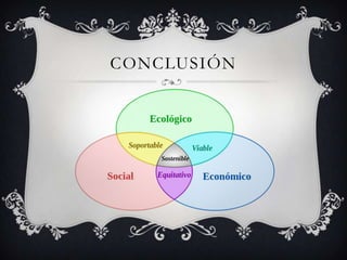 CONCLUSIÓN
 