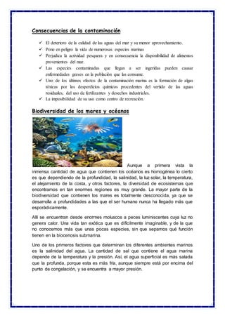 Consecuencias de la contaminación
 El deterioro de la calidad de las aguas del mar y su menor aprovechamiento.
 Pone en peligro la vida de numerosas especies marinas
 Perjudica la actividad pesquera y en consecuencia la disponibilidad de alimentos
provenientes del mar.
 Las especies contaminadas que llegan a ser ingeridas pueden causar
enfermedades graves en la población que las consume.
 Uno de los últimos efectos de la contaminación marina es la formación de algas
tóxicas por los desperdicios químicos procedentes del vertido de las aguas
residuales, del uso de fertilizantes y desechos industriales.
 La imposibilidad de su uso como centro de recreación.
Biodiversidad de los mares y océanos
Aunque a primera vista la
inmensa cantidad de agua que contienen los océanos es homogénea lo cierto
es que dependiendo de la profundidad, la salinidad, la luz solar, la temperatura,
el alejamiento de la costa, y otros factores, la diversidad de ecosistemas que
encontramos en tan enormes regiones es muy grande. La mayor parte de la
biodiversidad que contienen los mares es totalmente desconocida, ya que se
desarrolla a profundidades a las que el ser humano nunca ha llegado más que
esporádicamente.
Allí se encuentran desde enormes moluscos a peces luminiscentes cuya luz no
genera calor. Una vida tan exótica que es difícilmente imaginable, y de la que
no conocemos más que unas pocas especies, sin que sepamos qué función
tienen en la biocenosis submarina.
Uno de los primeros factores que determinan los diferentes ambientes marinos
es la salinidad del agua. La cantidad de sal que contiene el agua marina
depende de la temperatura y la presión. Así, el agua superficial es más salada
que la profunda, porque esta es más fría, aunque siempre está por encima del
punto de congelación, y se encuentra a mayor presión.
 