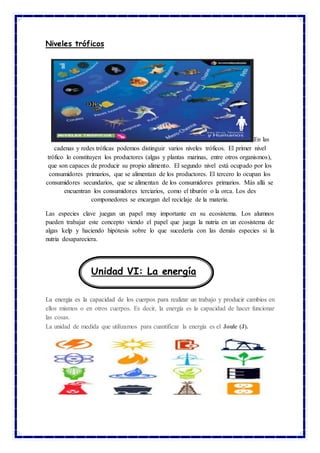 Niveles tróficos
En las
cadenas y redes tróficas podemos distinguir varios niveles tróficos. El primer nivel
trófico lo constituyen los productores (algas y plantas marinas, entre otros organismos),
que son capaces de producir su propio alimento. El segundo nivel está ocupado por los
consumidores primarios, que se alimentan de los productores. El tercero lo ocupan los
consumidores secundarios, que se alimentan de los consumidores primarios. Más allá se
encuentran los consumidores terciarios, como el tiburón o la orca. Los des
componedores se encargan del reciclaje de la materia.
Las especies clave juegan un papel muy importante en su ecosistema. Los alumnos
pueden trabajar este concepto viendo el papel que juega la nutria en un ecosistema de
algas kelp y haciendo hipótesis sobre lo que sucedería con las demás especies si la
nutria desapareciera.
La energía es la capacidad de los cuerpos para realizar un trabajo y producir cambios en
ellos mismos o en otros cuerpos. Es decir, la energía es la capacidad de hacer funcionar
las cosas.
La unidad de medida que utilizamos para cuantificar la energía es el Joule (J).
Unidad VI: La energía
 