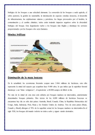 biológica de los bosques a una velocidad alarmante. La conversión de los bosques a suelo agrícola, el
sobre pastoreo, la gestión no sustentable, la introducción de especies extrañas invasoras, el desarrollo
de infraestructuras, las explotaciones mineras y petroleras, los fuegos provocados por el hombre, la
contaminación y el cambio climático, todos están teniendo impactos negativos sobre la diversidad
biológica del bosque. Esta degradación vuelve a los bosques más frágiles y disminuye los servicios
proporcionados por los bosques a los seres humanos.
Niveles tróficos
Disminución de la masa boscosa
En la actualidad, los ecosistemas forestales ocupan unos 3.866 millones de hectáreas, esta cifra
representa la mitad del espacio que ocupaban hace 8.000 años, lo que indica que la superficie forestal
disminuye a un “ritmo vertiginoso”, el equivalente a 40.000 campos de fútbol al día.
No más de la mitad de esta área está cubierta por bosques maduros no intervenidos, anteriormente
denominados bosques primarios. Dos tercios de los 4,000 millones de hectáreas boscosas se
encuentran hoy día en sólo diez países: Australia, Brasil, Canadá, China, la República Democrática del
Congo, India, Indonesia, Perú, Rusia y los Estados Unidos de América. Tres de estos países (Rusia,
Canadá y Brasil) albergan el 70% de la superficie actual de los bosques maduros no intervenidos.En el
siglo XXI, los bosques del mundo todavía no están a salvo y siguen siendo destruidos.
 