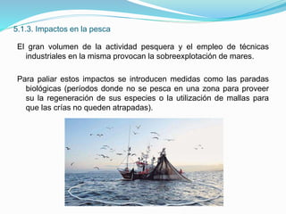 5.1.3. Impactos en la pesca
El gran volumen de la actividad pesquera y el empleo de técnicas
industriales en la misma provocan la sobreexplotación de mares.
Para paliar estos impactos se introducen medidas como las paradas
biológicas (períodos donde no se pesca en una zona para proveer
su la regeneración de sus especies o la utilización de mallas para
que las crías no queden atrapadas).
 