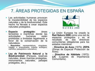 7. ÁREAS PROTEGIDAS EN ESPAÑA
 Las actividades humanas provocan
la insostenibilidad de los espacios
naturales y de la biodiversidad. Este
hecho ha llevado a crear espacios
naturales protegidos.
 Espacio protegido: áreas
terrestres o marítimas donde las
actividades humanas están
prohibidas o limitadas legalmente a
favor de la conservación de la
naturaleza.
- Requisitos: representativos, singulares,
frágiles o amenazados (interés ecológico,
científico, paisajístico o educativo).
 Ley de Patrimonio Natural y la
Biodiversidad: (Parques, reservas
naturales, áreas marinas protegidas,
monumentos naturales, paisajes
protegidos, etc.).
 La Unión Europea ha creado la
Red Natura 2000 como una red de
espacios protegidos y es el
resultado de dos directivas
comunitarias obligatorias para los
estados miembros:
- Directiva de Aves (1979): ZEPA
(Zonas de Espacial Protección de
Aves).
- Directiva de Hábitats (1972):
LIC (Lugares de Importancia
Comunitaria).
 