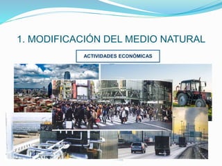 1. MODIFICACIÓN DEL MEDIO NATURAL
ACTIVIDADES ECONÓMICAS
HUMANIZAN EL PAISAJE / ALTERAN EL MEDIO AMBIENTE
IMPACTOS EN EL MEDIO NATURAL
DEGRADAN EL MEDIO DE FORMA INSOSTENIBLE
 