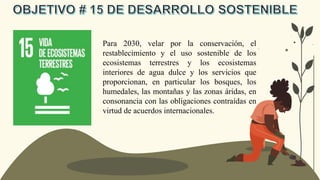 Para 2030, velar por la conservación, el
restablecimiento y el uso sostenible de los
ecosistemas terrestres y los ecosistemas
interiores de agua dulce y los servicios que
proporcionan, en particular los bosques, los
humedales, las montañas y las zonas áridas, en
consonancia con las obligaciones contraídas en
virtud de acuerdos internacionales.
 