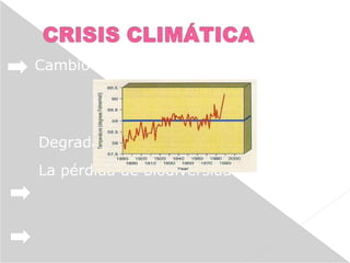 Cambio climático (asunto de Estado).
Degradación de los ecosistemas.
La pérdida de biodiversidad.
 