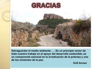 Salvaguardar el medio ambiente. . . Es un principio rector de
todo nuestro trabajo en el apoyo del desarrollo sostenible; es
un componente esencial en la erradicación de la pobreza y uno
de los cimientos de la paz.
                                                   Kofi Annan
 