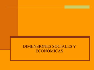 DIMENSIONES SOCIALES Y ECONÓMICAS 