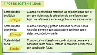 TIPOS DE SOSTENIBILIDAD
 
