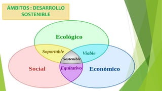 ÁMBITOS : DESARROLLO
SOSTENIBLE
 