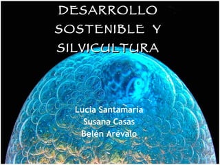DESARROLLO SOSTENIBLE  Y SILVICULTURA Lucía Santamaría Susana Casas Belén Arévalo 