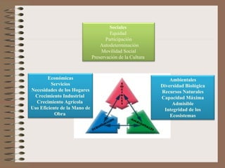 Sociales   Equidad  Participación Autodeterminación Movilidad Social  Preservación de la Cultura  Económicas Servicios Necesidades de los Hogares Crecimiento Industrial  Crecimiento Agrícola  Uso Eficiente de la Mano de Obra  Ambientales Diversidad Biológica Recursos Naturales Capacidad Máxima Admisible Integridad de los Ecosistemas 