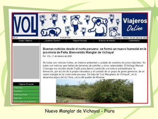 Nuevo Manglar de Vichayal - Piura
 