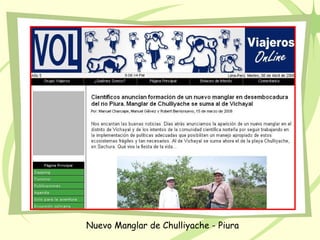 Nuevo Manglar de Chulliyache - Piura
 