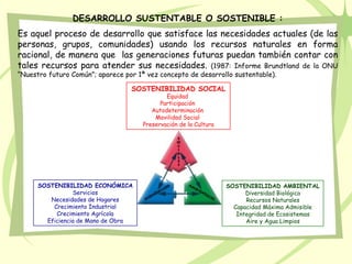 DESARROLLO SUSTENTABLE O SOSTENIBLE :
Es aquel proceso de desarrollo que satisface las necesidades actuales (de las
personas, grupos, comunidades) usando los recursos naturales en forma
racional, de manera que las generaciones futuras puedan también contar con
tales recursos para atender sus necesidades. (1987: Informe Brundtland de la ONU
“Nuestro futuro Común”; aparece por 1ª vez concepto de desarrollo sustentable).

                                  SOSTENIBILIDAD SOCIAL
                                              Equidad
                                            Participación
                                         Autodeterminación
                                          Movilidad Social
                                      Preservación de la Cultura




      SOSTENIBILIDAD ECONÓMICA                                     SOSTENIBILIDAD AMBIENTAL
                 Servicios                                               Diversidad Biológica
         Necesidades de Hogares                                          Recursos Naturales
          Crecimiento Industrial                                     Capacidad Máxima Admisible
           Crecimiento Agrícola                                       Integridad de Ecosistemas
        Eficiencia de Mano de Obra                                       Aire y Agua Limpios
 