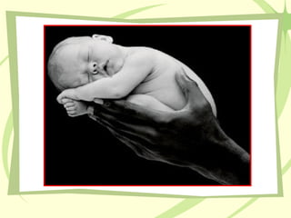 Desarrollo sustentable