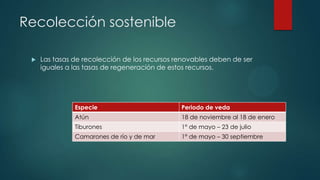 Recolección sostenible


Las tasas de recolección de los recursos renovables deben de ser
iguales a las tasas de regeneración de estos recursos.

Especie

Periodo de veda

Atún

18 de noviembre al 18 de enero

Tiburones

1° de mayo – 23 de julio

Camarones de río y de mar

1° de mayo – 30 septiembre

 