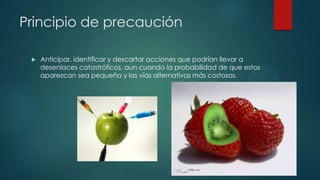 Principio de precaución


Anticipar, identificar y descartar acciones que podrían llevar a
desenlaces catastróficos, aun cuando la probabilidad de que estos
aparezcan sea pequeña y las vías alternativas más costosas.

 