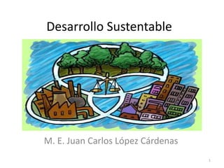Desarrollo Sustentable
M. E. Juan Carlos López Cárdenas
1
 