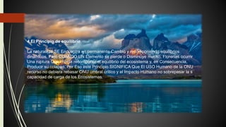 4.El Principio de equilibrio.
La naturaleza SE Encuentra en permanente Cambio y recomponiendo equilibrios
dinámicos, Pero CUANDO UN Elemento se pierde o Disminuye mucho, Florerías ocurrir
Una ruptura Que impida recomponer el equilibrio del ecosistema y, en Consecuencia,
Producir su colapso. Por Eso este Principio SIGNIFICA Que El USO Humano de la ONU
recurso no debiera rebasar ONU umbral crítico y el Impacto Humano no sobrepasar la s
capacidad de carga de los Ecosistemas.
 