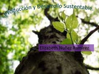 Elizabeth Nuñez Ramirez
 
