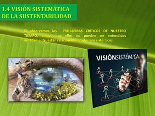 Si observamos los PROBLEMAS CRÍTICOS DE NUESTRO
TIEMPO, vemos que ellos no pueden ser entendidos
aisladamente, están relacionados; todos son sistémicos.
 