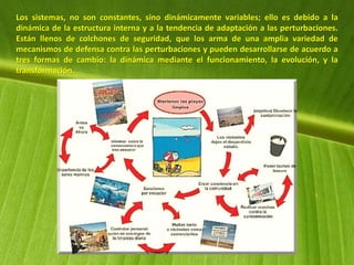 Los sistemas, no son constantes, sino dinámicamente variables; ello es debido a la
dinámica de la estructura interna y a la tendencia de adaptación a las perturbaciones.
Están llenos de colchones de seguridad, que los arma de una amplia variedad de
mecanismos de defensa contra las perturbaciones y pueden desarrollarse de acuerdo a
tres formas de cambio: la dinámica mediante el funcionamiento, la evolución, y la
transformación.
 