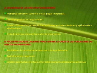 LA DECADENCIA DE LOS INSECTOS POLINIZADORES:
Problemas sanitarios: Varroosis y otras plagas importadas.
Uso de plaguicidas en la agricultura.
Presión humana: destrucción de flora autóctona, presión urbanística y agrícola sobre
asentamientos.
Crisis de precios a causa de las mieles de importación.
SE NECESITAN MEDIDAS URGENTES PARA DETENER LA CAIDA DE LAS POBLACIONES DE
INSECTOS POLINIZADORES:
Sensibilizar a la sociedad de la importancia de la polinización.
Agricultura más respetuosa.
Estudios para evaluar el estado de las poblaciones de polinizadores autóctonos.
 