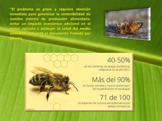“El problema es grave y requiere atención
inmediata para garantizar la sostenibilidad de
nuestro sistema de producción alimentaria,
evitar un impacto económico adicional en el
sector agrícola y proteger la salud del medio
ambiente”, advierte el documento firmado por
Obama.
 