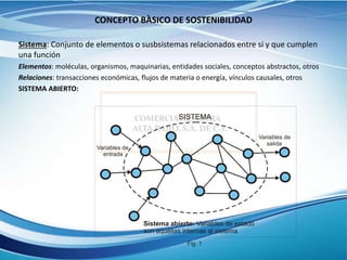 CONCEPTO BÀSICO DE SOSTENIBILIDAD
Sistema: Conjunto de elementos o susbsistemas relacionados entre si y que cumplen
una función
Elementos: moléculas, organismos, maquinarias, entidades sociales, conceptos abstractos, otros
Relaciones: transacciones económicas, flujos de materia o energía, vínculos causales, otros
SISTEMA ABIERTO:
SISTEMA
Variables de
entrada
Variables de
salida
Sistema abierto: Variables de estado
son aquèllas internas al sistema
Fig. 1
 