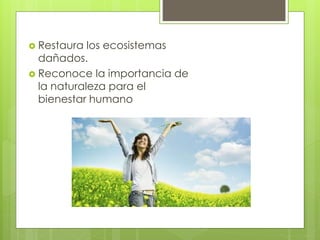  Restaura los ecosistemas
dañados.
 Reconoce la importancia de
la naturaleza para el
bienestar humano
 