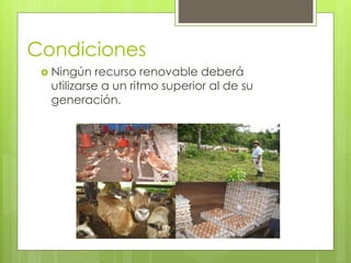 Condiciones
 Ningún recurso renovable deberá
utilizarse a un ritmo superior al de su
generación.
 