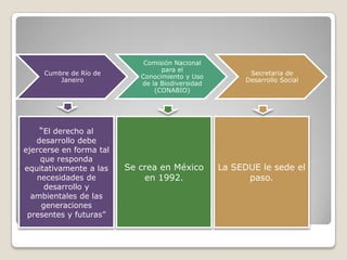 Comisión Nacional
                                  para el
     Cumbre de Río de                                    Secretaria de
                            Conocimiento y Uso
         Janeiro                                        Desarrollo Social
                            de la Biodiversidad
                                (CONABIO)




    “El derecho al
   desarrollo debe
ejercerse en forma tal
    que responda
equitativamente a las    Se crea en México        La SEDUE le sede el
   necesidades de            en 1992.                   paso.
      desarrollo y
  ambientales de las
     generaciones
 presentes y futuras”
 