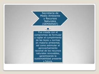 Secretaria de
     Medio Ambiente
       y Recursos
        Naturales
      (SEMARNAT)


    Fue creada con el
compromiso de formular
y vigilar el cumplimiento
  de las leyes y normas
  en materia ambiental,
  así como estimular el
    aprovechamiento
 racional de los recursos
  naturales renovables,
     garantizando la
sustentabilidad presente
         y futura.
 