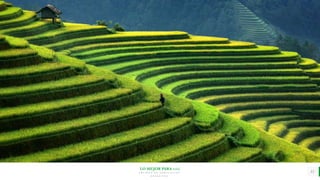 LO MEJOR PARA usted
E M P R E S A D E C O M P U E S T O S
O R G Á N I C O S
15
 