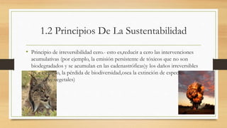 1.2 Principios De La Sustentabilidad 
• Principio de irreversibilidad cero.- esto es,reducir a cero las intervenciones 
acumulativas (por ejemplo, la emisión persistente de tóxicos que no son 
biodegradados y se acumulan en las cadenastróficas)y los daños irreversibles 
(por ejemplo, la pérdida de biodiversidad,osea la extinción de especies 
animalesy vegetales) 
 