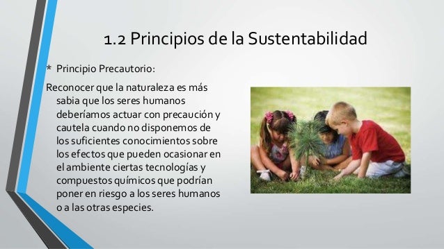 Desarrollo sustentable Concepto de Sustentabilidad