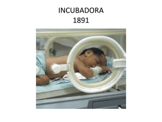 INCUBADORA 1891 